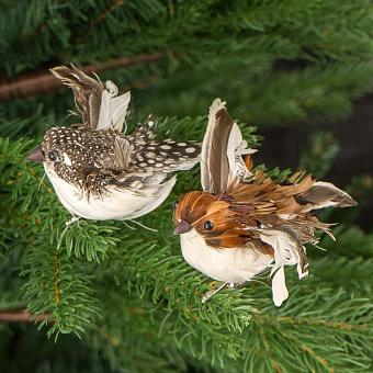 Набор из 2-х ёлочных игрушек Set Of 2 Feather Birds On Clip Brown 11 cm