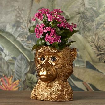 Кашпо Flower Pot Golden Ape