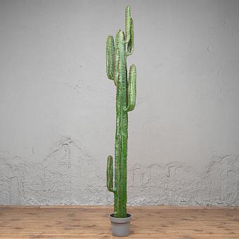 Искусственное растение Cereus Mexican Cactus 200 cm