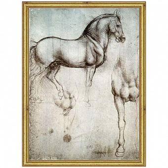 Картина-принт Da Vinci Horse, Gold Frame