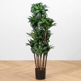 Искусственное растение Dracaena Compacta 120 cm