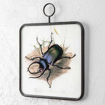 Картина-принт Insect Glass Frame