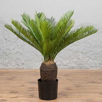 Искусственное дерево Cicas Palm 65 cm