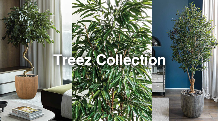 Вечнозелёные растения, шёлковые цветы и оригинальные кашпо - новинки от Treez Collection