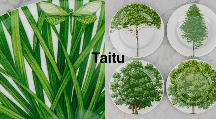 Зелёная терапия для глаз вместе с новинками дизайнерской посуды Taitu