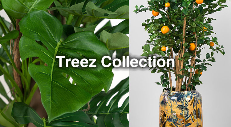 Искусство оживлять интерьер - встречайте растения и кашпо Treez Collection