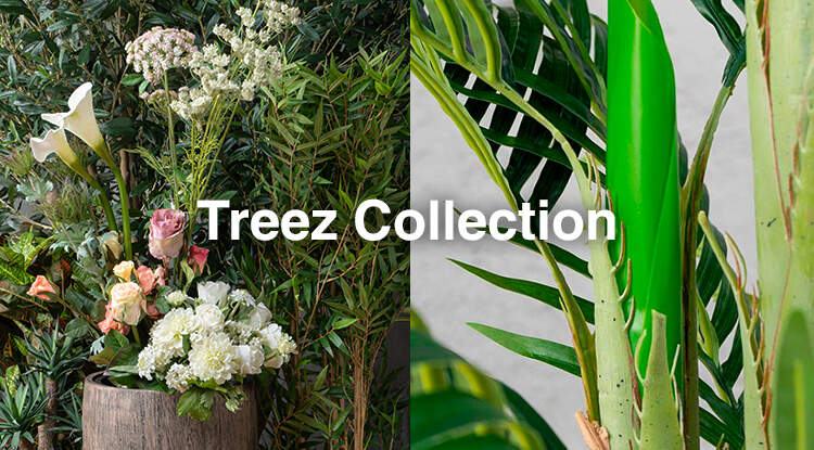 Фикусы, пальмы, кактусы и другие новинки искусственных растений в магазинах Home Concept