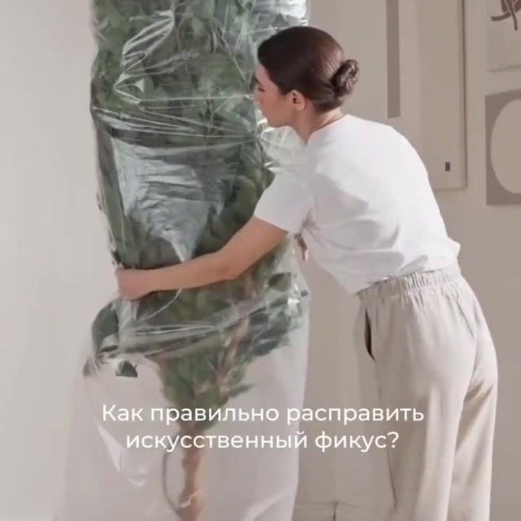 Искусственный фикус Эластика, L Elastica Ficus Tree 180 cm