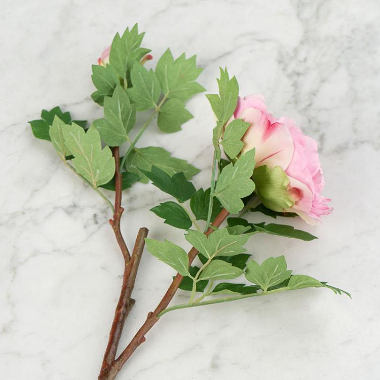 Искусственный пион нежно-розовый Peony Branch Pale Pink 35 cm