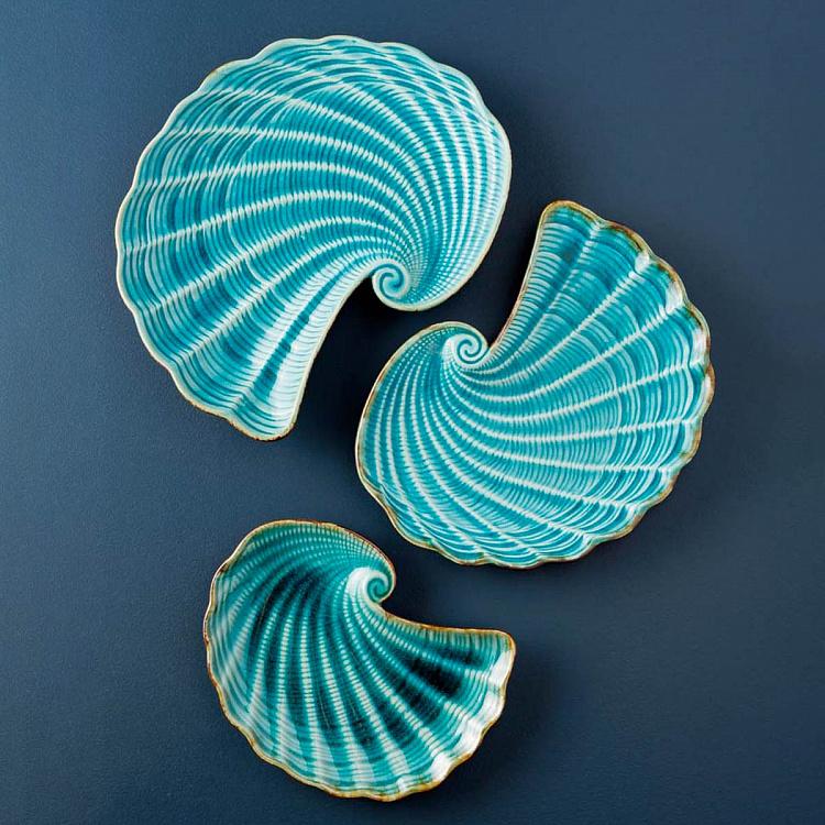 Блюдо Морская ракушка, M Aqua Shell Dish Medium