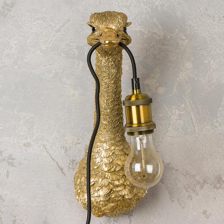 Бра Страусёнок Франц Иосиф Wall Lamp Baby Ostrich Franz Josef