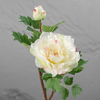 Искусственный цветок Peony Branch White 35 cm