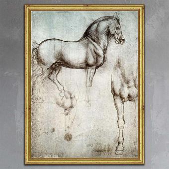 Картина-принт Da Vinci Horse, Gold Frame