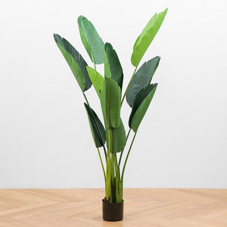 Искусственная стрелиция Стиль, M Style Strelitzia Green 150 cm