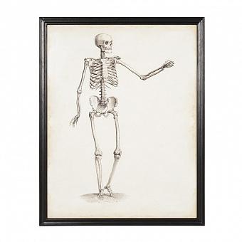 Картина-принт VM Skeleton Pair 1