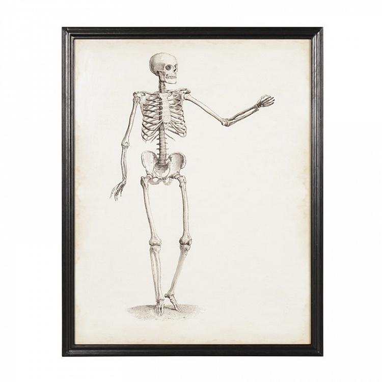 Картина-принт Скелет 1 VM Skeleton Pair 1