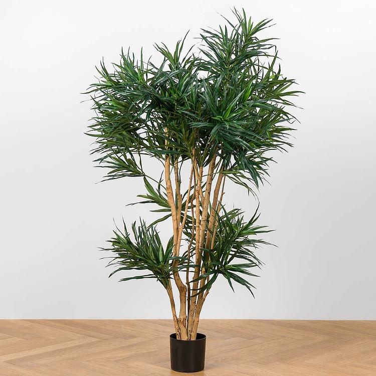 Искусственное растение Anita Dracaena Reflexa 150 cm