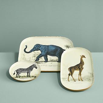 Набор из 3-х подносов Set Of 3 Trays Safari