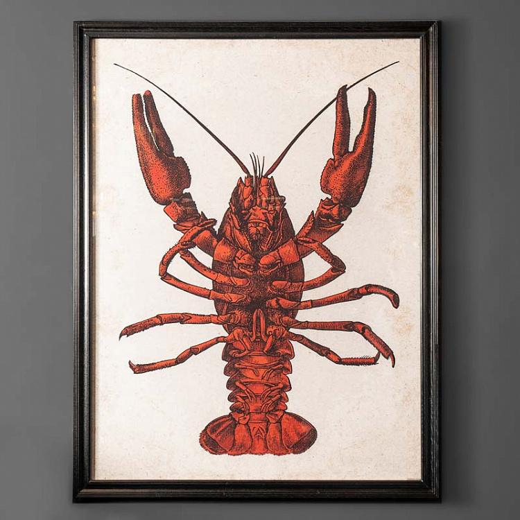 Lobster: векторные изображения и иллюстрации, которые можно скачать бесплатно | Freepik