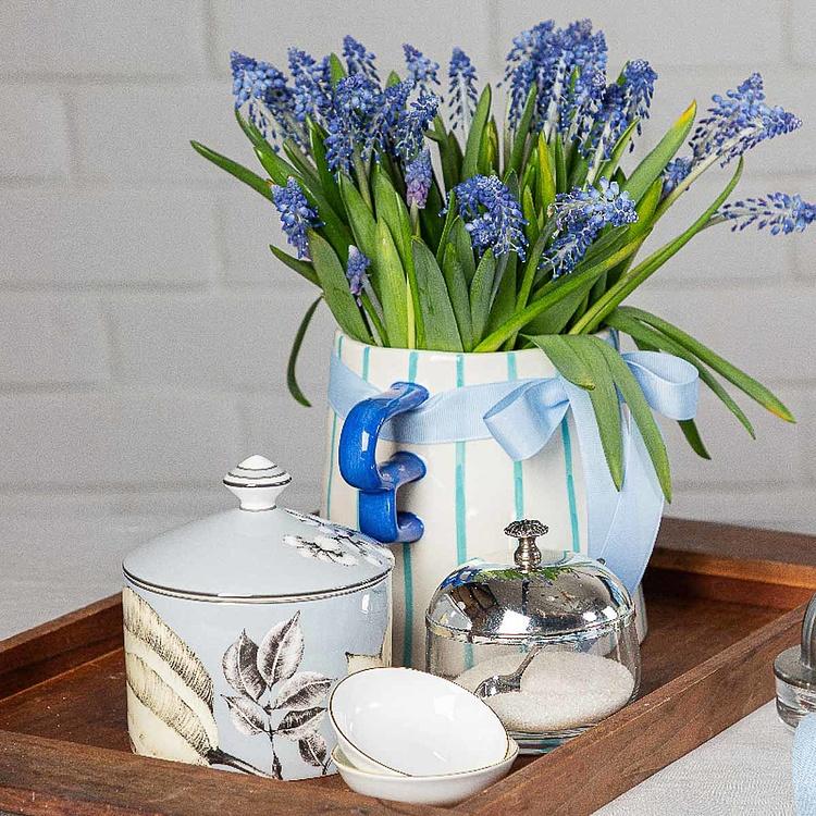 Голубая ёмкость для хранения с карамболой Экзо Exo Box Carambola Blue