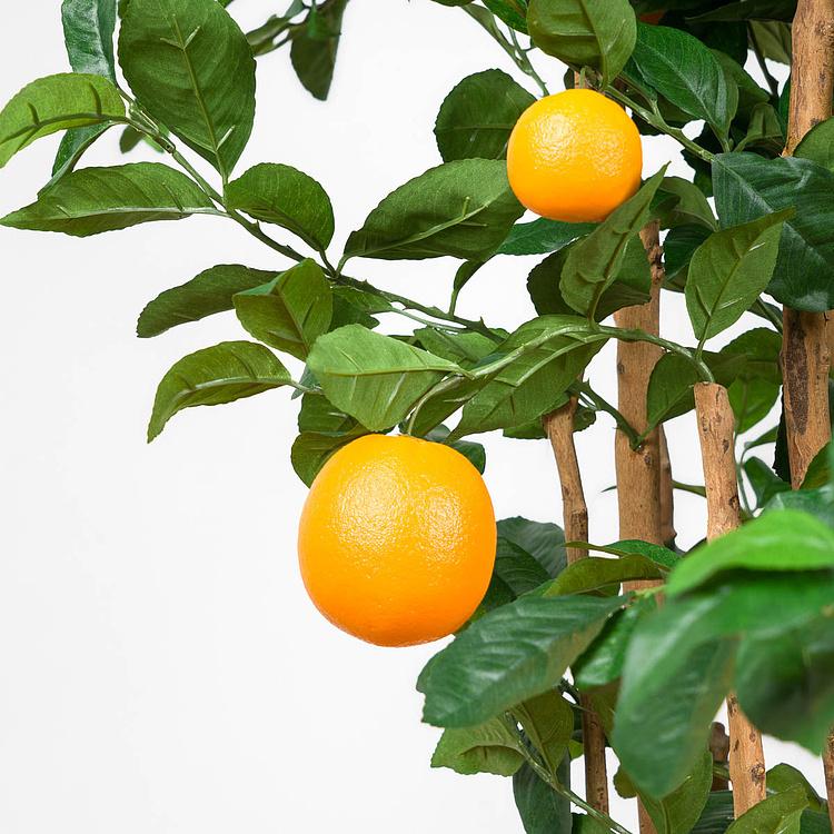 Искусственное растение Orange Tree With Fruits 180 cm - ракурс 4