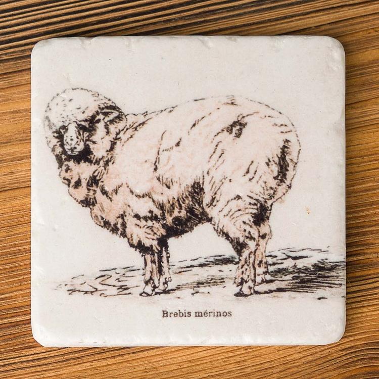Набор из 4-х подставок под стаканы Set Of 4 Stone Coasters Sheep - ракурс 3