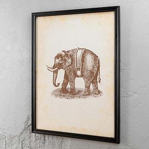Nature Elephant