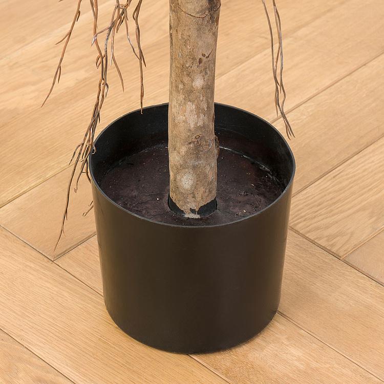 Искусственный Фикус Эластика, L Elastica Ficus Tree 180 cm