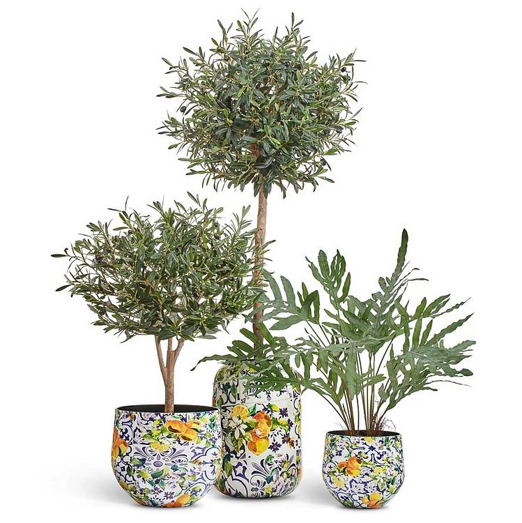 Кашпо Effectory Savage Garden Bowl Pot Capri Large - ракурс 3