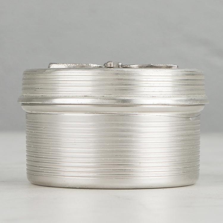 Круглая серебристая шкатулка со стрекозой Dragonfly Round Box Silver