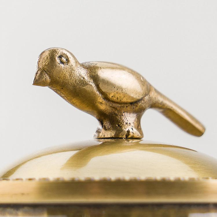 Ёмкость для хранения с латунной птичкой на крышке Glass Box With Brass Bird Lid
