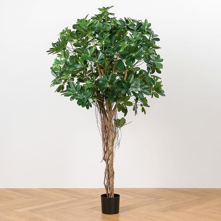 Искусственное дерево Umbrella Schefflera Green 170 cm - ракурс 2