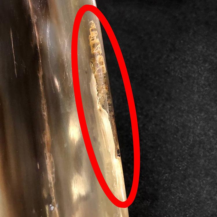 Ложка для обуви из pога дисконт1 White Horn Shoe Horn discount1