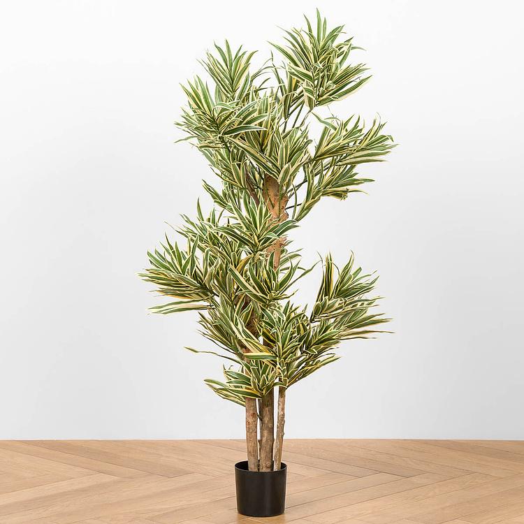 Искусственное дерево Golden Dracaena Reflexa 120 cm