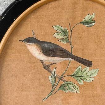 Картина-принт диптих Set Of 2 Oval Frames With Birds Philomene