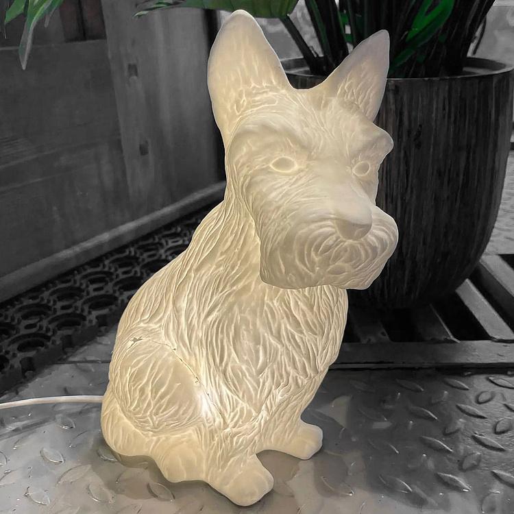 Настольная лампа Table Lamp Scottish discount