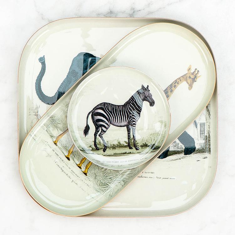 Поднос Safari Zebra Round Tray - ракурс 5