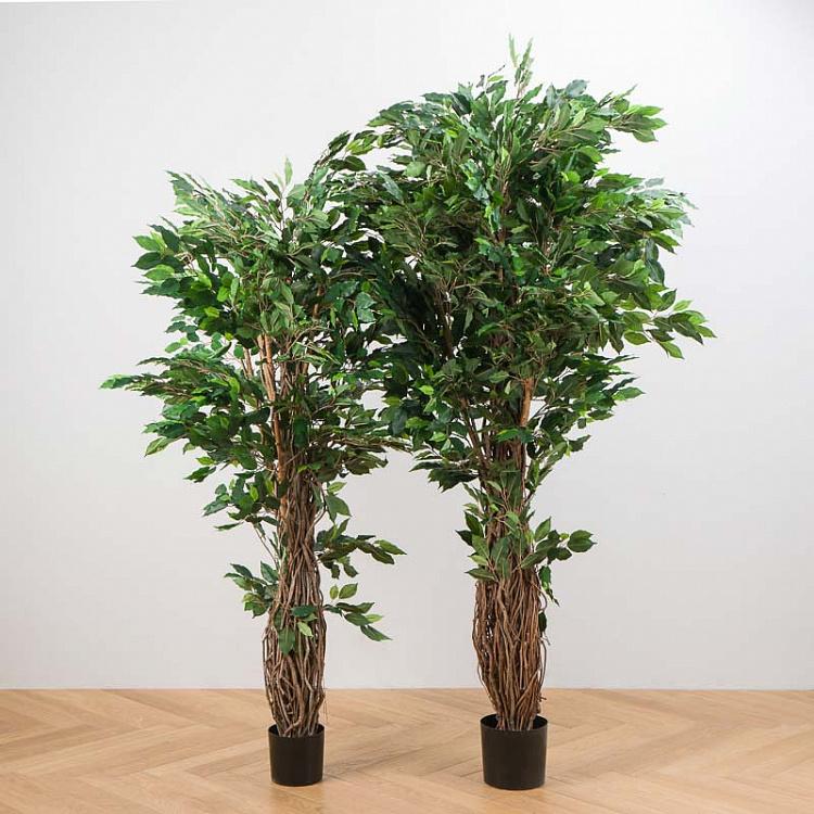 Искусственный фикус Лиана Де люкс, S De Luxe Ficus Liana 180 cm