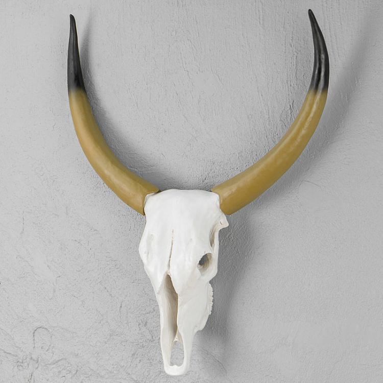 Wall Decoration Bull Horns