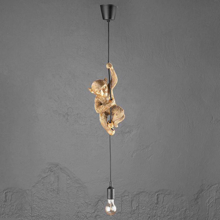 Подвесной светильник Обезьяна Чип Ceiling Lamp Monkey Chip