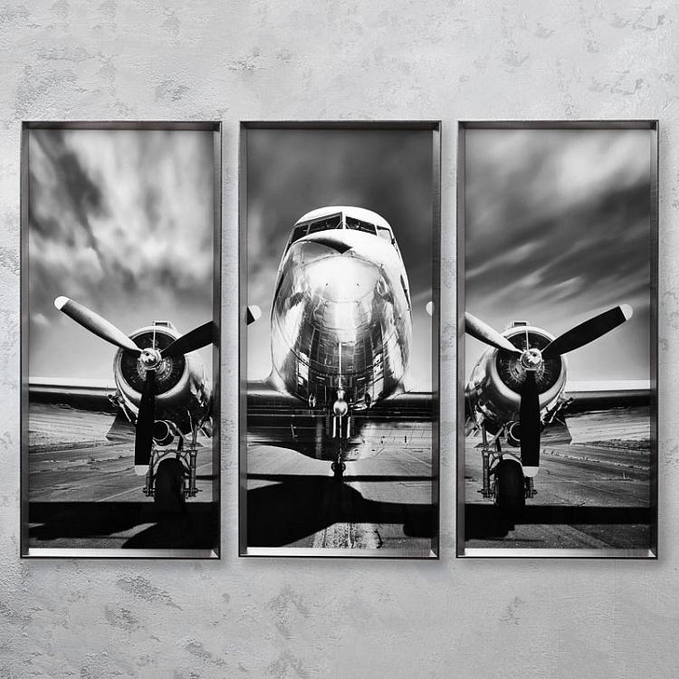 Модульный фото-принт в металлической раме Аэроплан Set Of 3 Plane, Pewter Frame