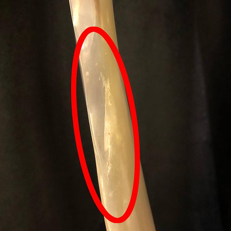 Ложка для обуви из pога дисконт2 White Horn Shoe Horn discount2