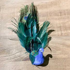Feather Open Tail Peacock On Clip Green/Blue 25,5 cm discount