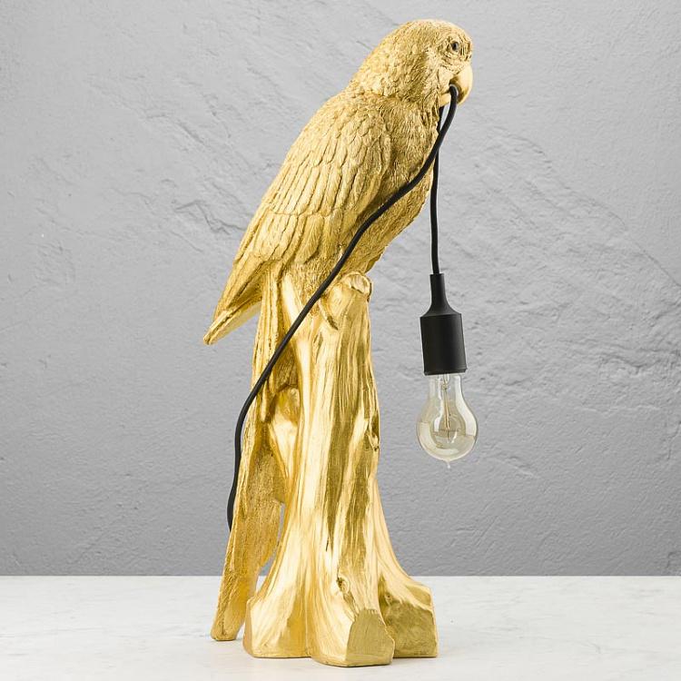 Настольная лампа Попугай Тимми Table Lamp Parrot Timmy