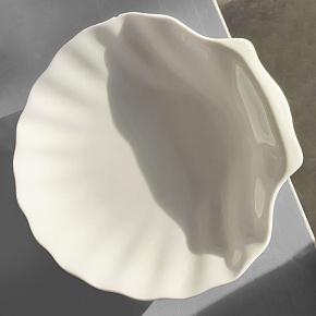 Shell Dish Large discount5