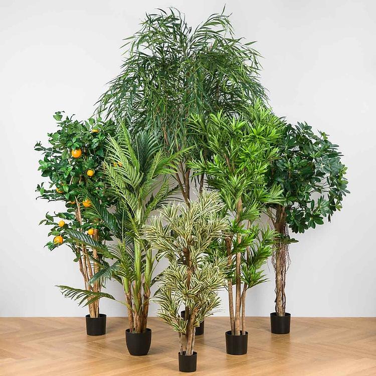 Искусственное дерево Natural Dracaena Reflexa 180 cm - ракурс 7