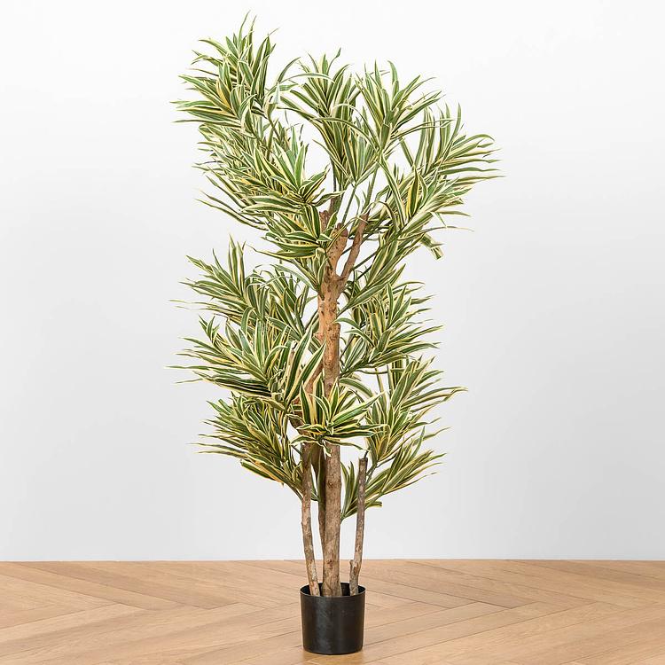 Искусственное дерево Golden Dracaena Reflexa 120 cm - ракурс 2