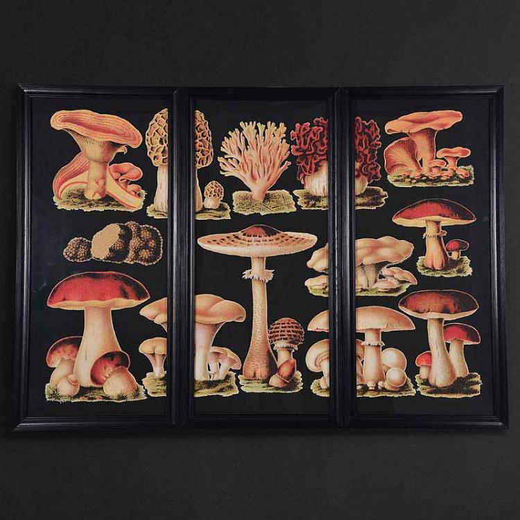 Картина-принт Грибы, левая часть  Mushrooms Left
