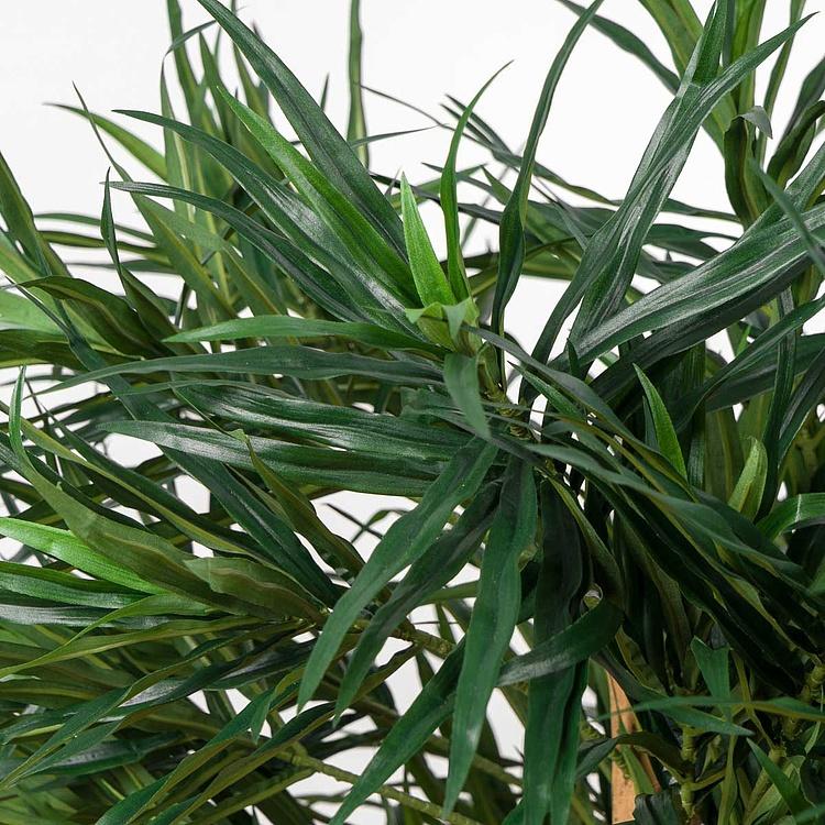 Искусственное растение Anita Dracaena Reflexa 150 cm - ракурс 4