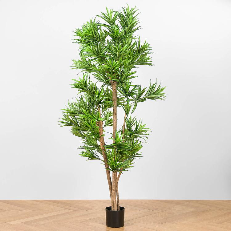 Искусственное дерево Natural Dracaena Reflexa 180 cm